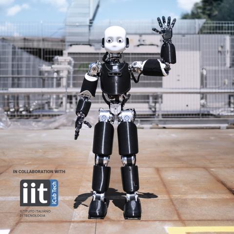 icub3