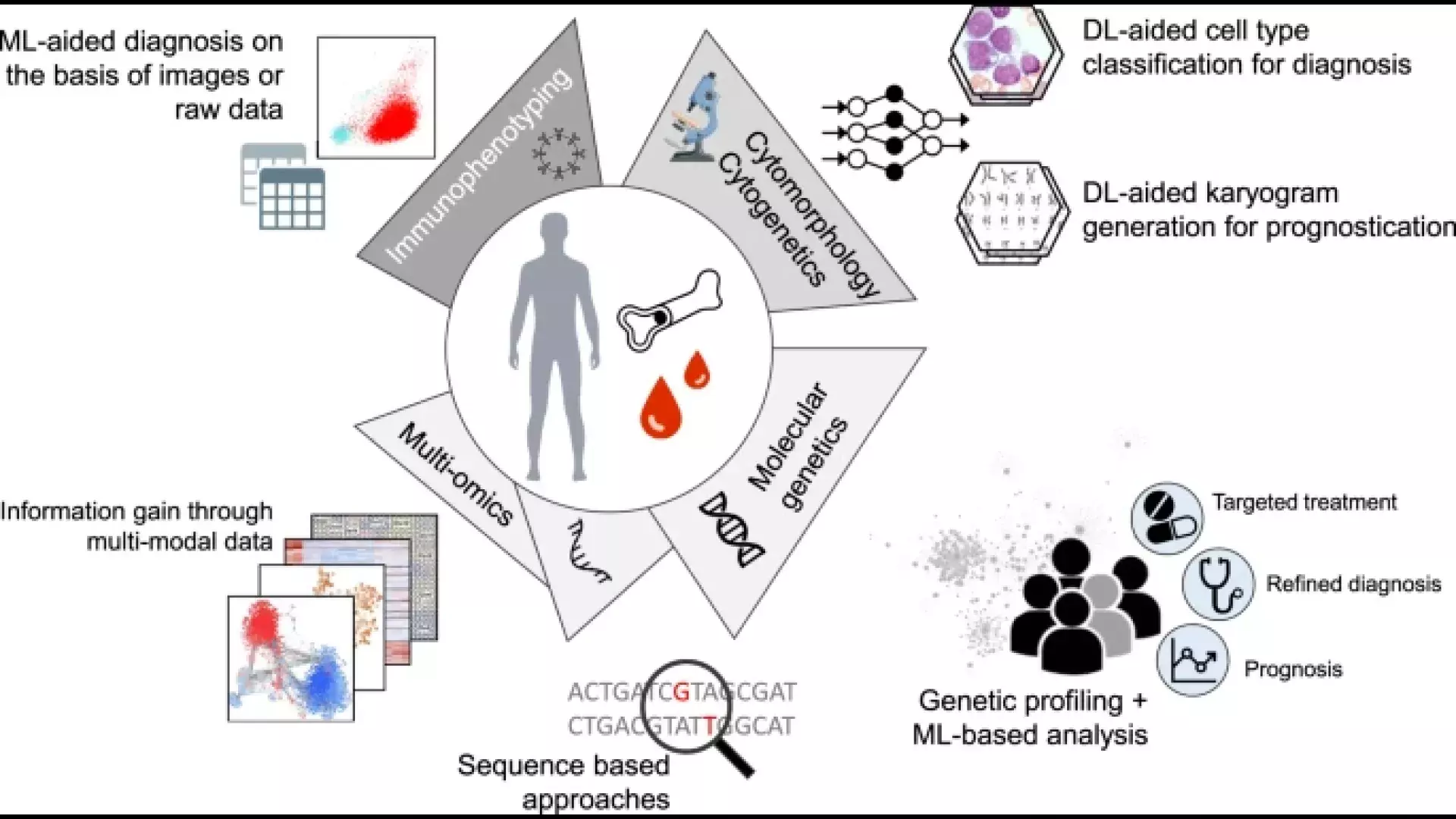 [©Wencke Walter et al. Nature] The central part of the figure displays current and future diagnostic tests and methods, while the outer part illustrates the various data types and the potential clinical impact of ML-based applications and analyses. DL deep learning, ML machine learning.